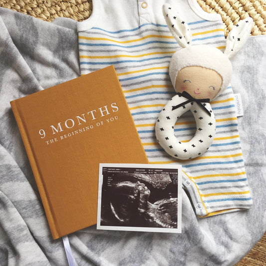 Pregnancy Journal - 9 months of you