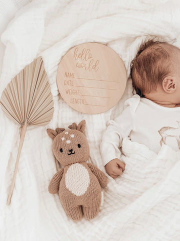 ‘Hello World’ Birth Announcement Plaque