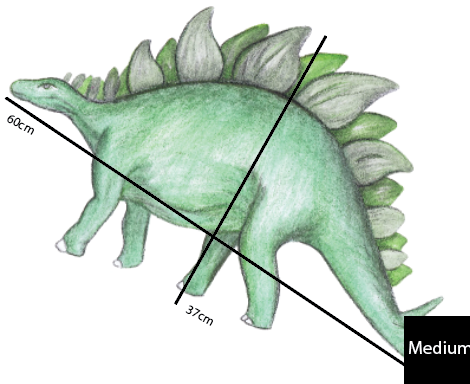 Single Stegosaurus