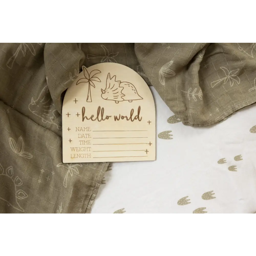 Hello World Dino Birth Announcement Disc