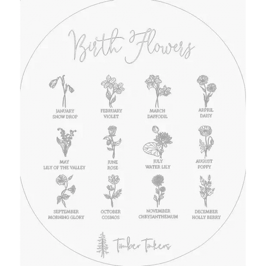 Hello World My Name Is Birth Flower Annoucement Disc